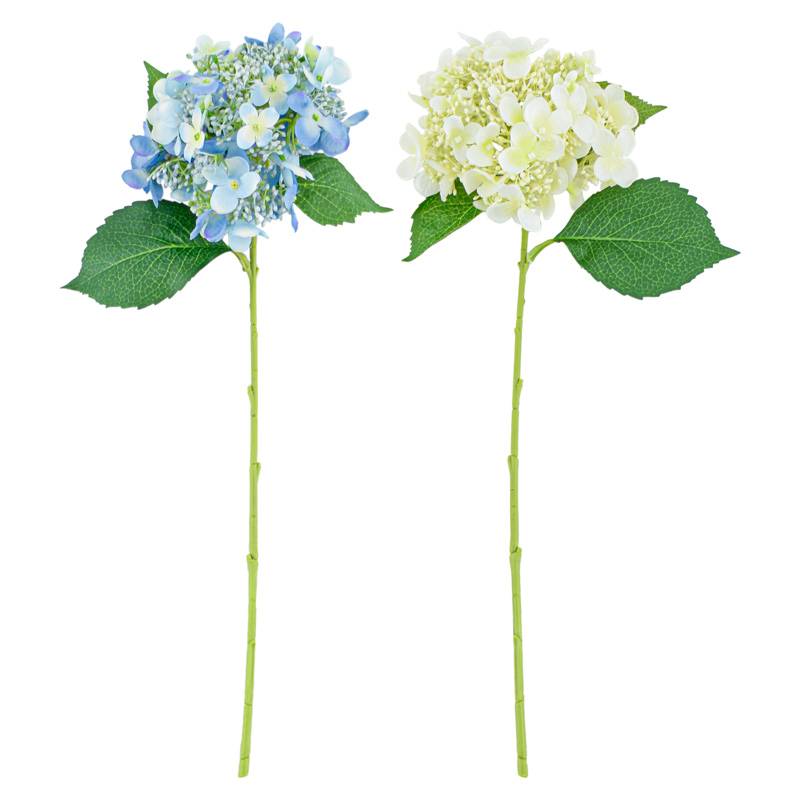Tige d'hortensia arborescens