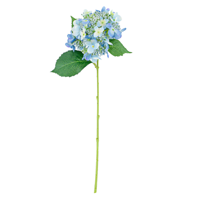 Tige d'hortensia arborescens