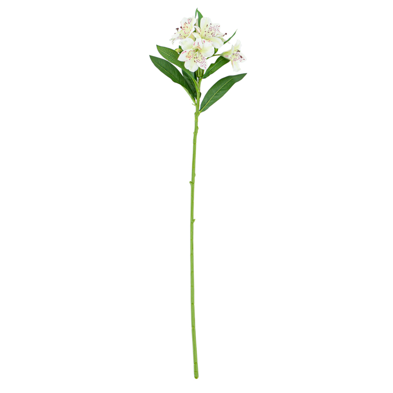 Tige de alstromeria