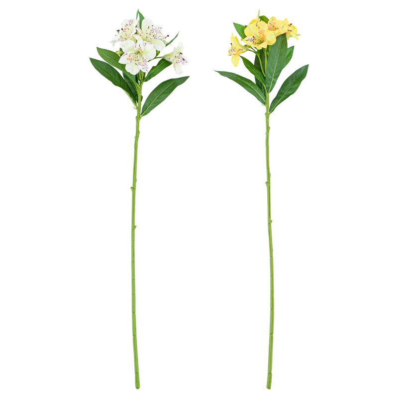 Tige de alstromeria