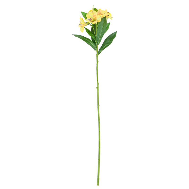 Tige de alstromeria