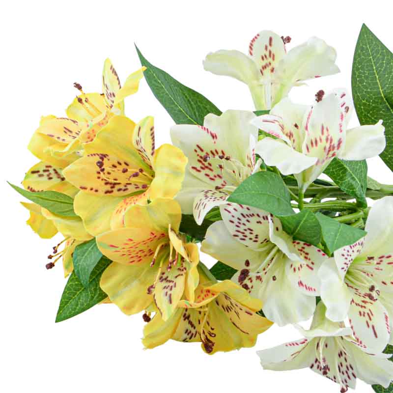 Tige de alstromeria
