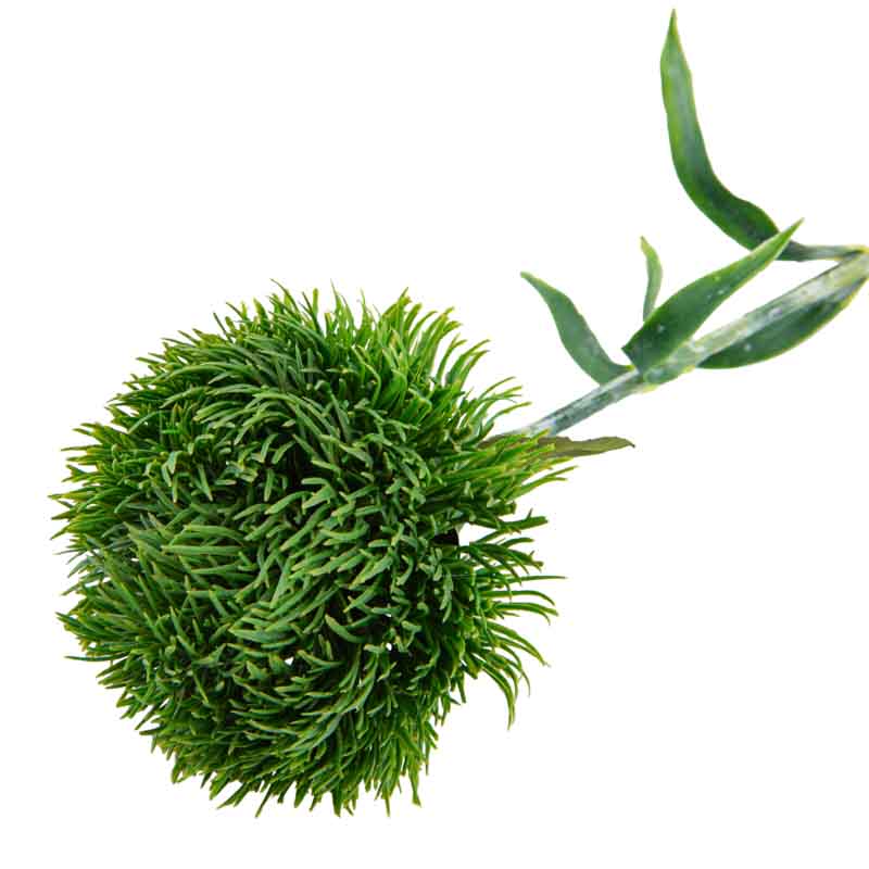 Tige d'allium verte artificielle 