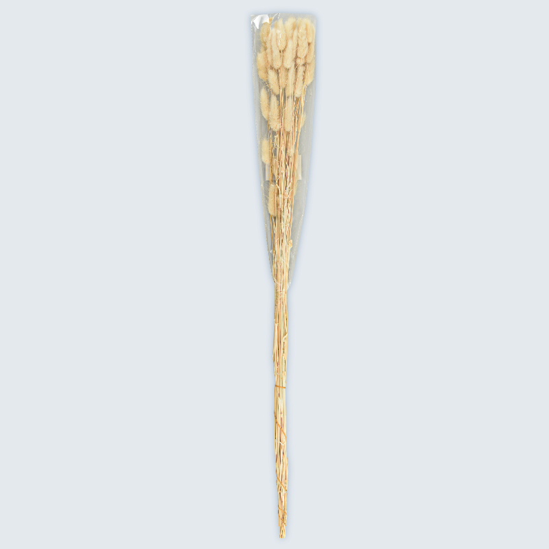 Lagures séchées 
