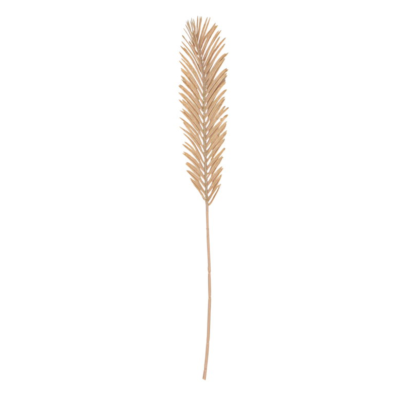 Feuille de palmier 