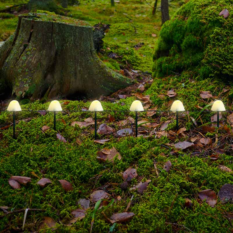 Guirlande solaire 10 champignons blanc chaud