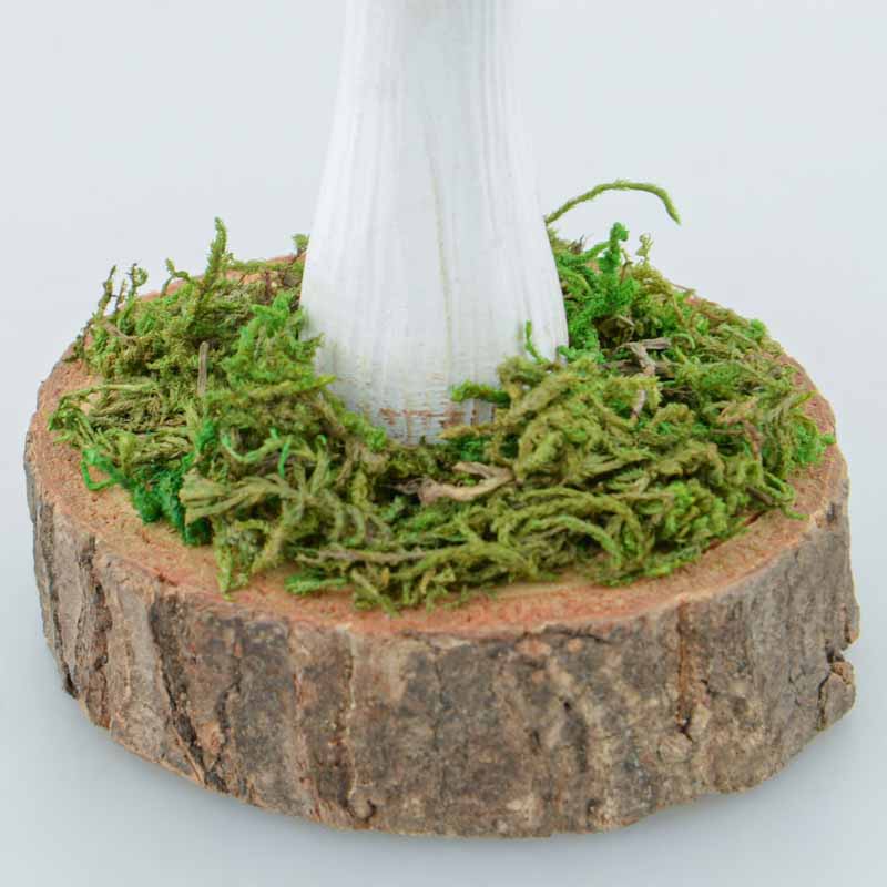 Champignon et hérisson 