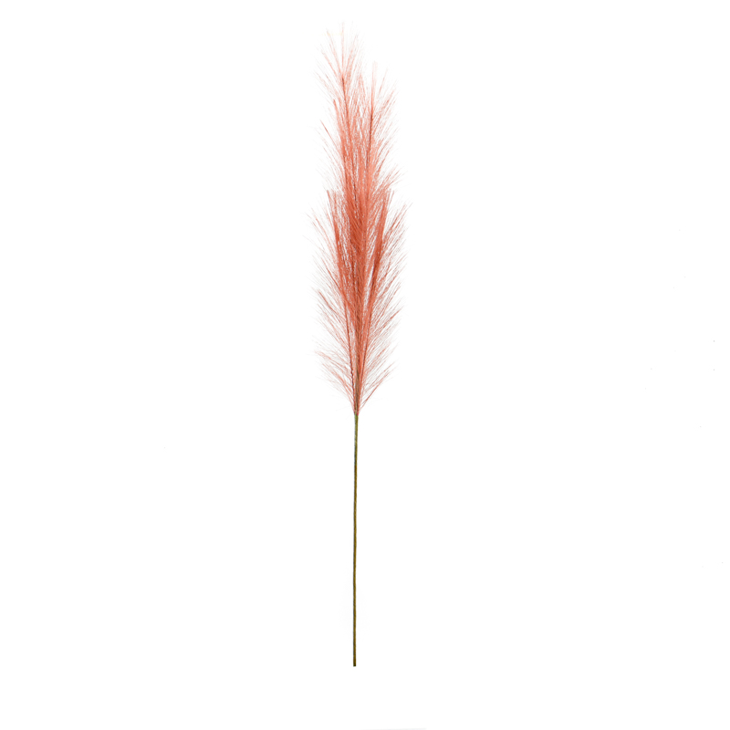 Tige de pampas
