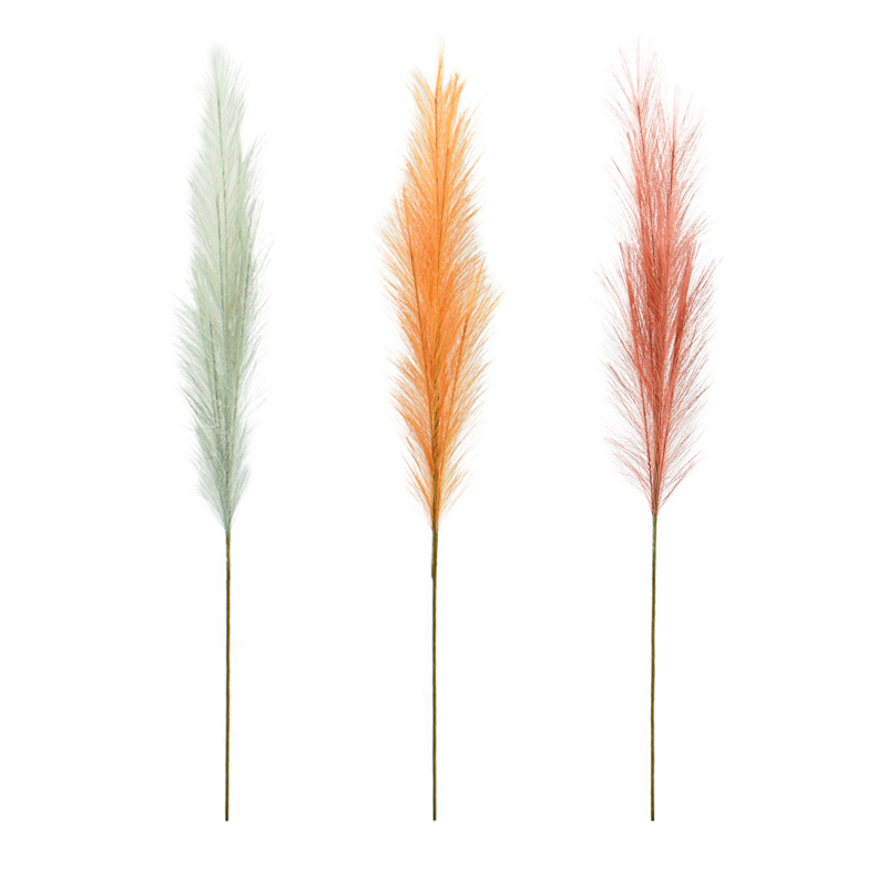 Tige de pampas