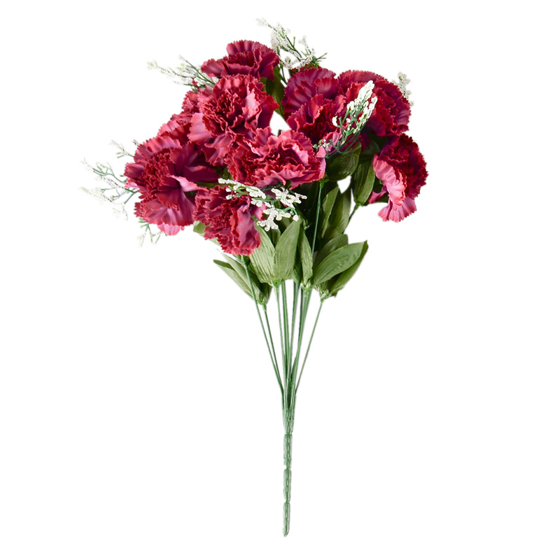 Bouquet d'oeillets