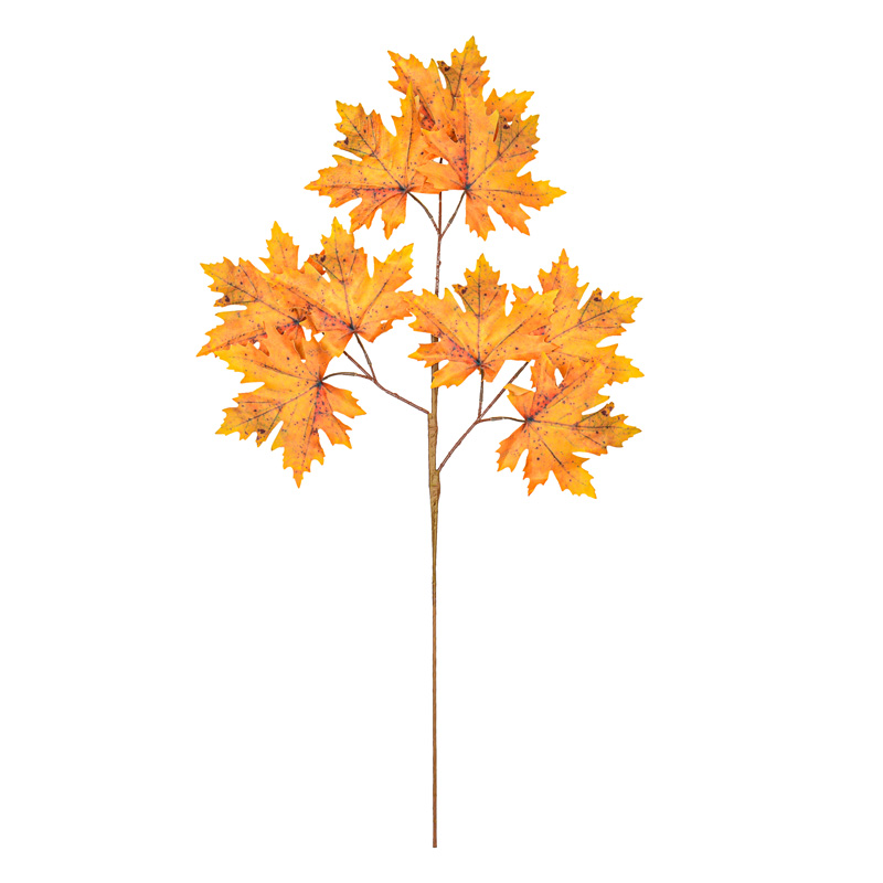 Branche feuilles d'érable 'Coeur d'Automne'