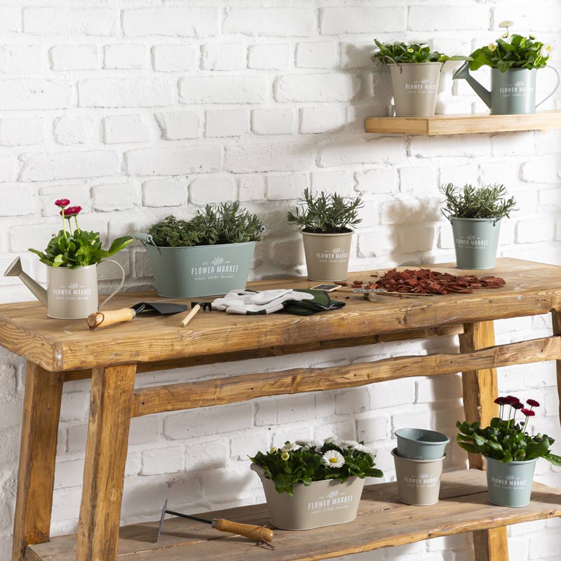 Cache pot 'Flower Market' 