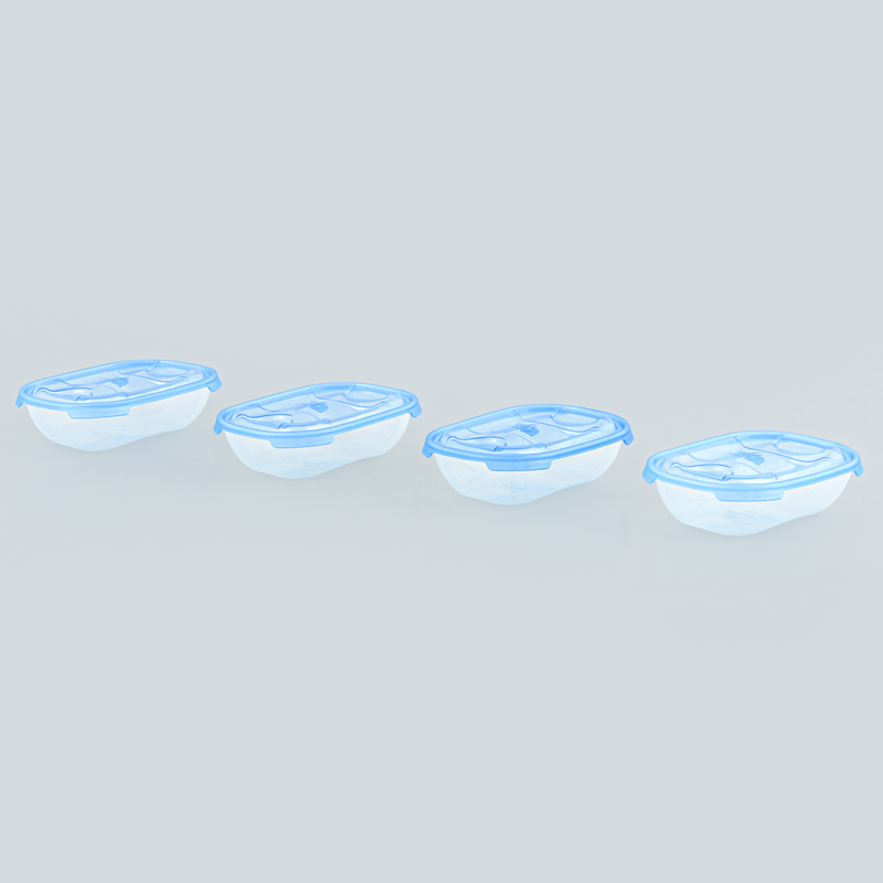 Lot de 4 boîtes alimentaires 