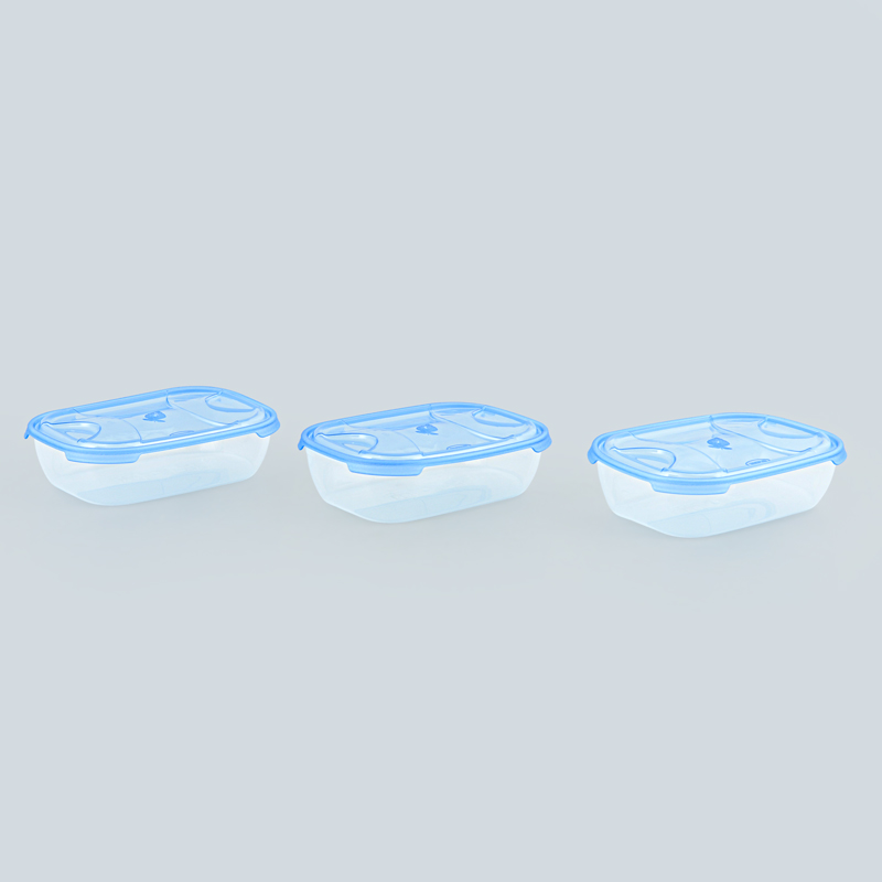 Lot de 3 boîtes alimentaires 
