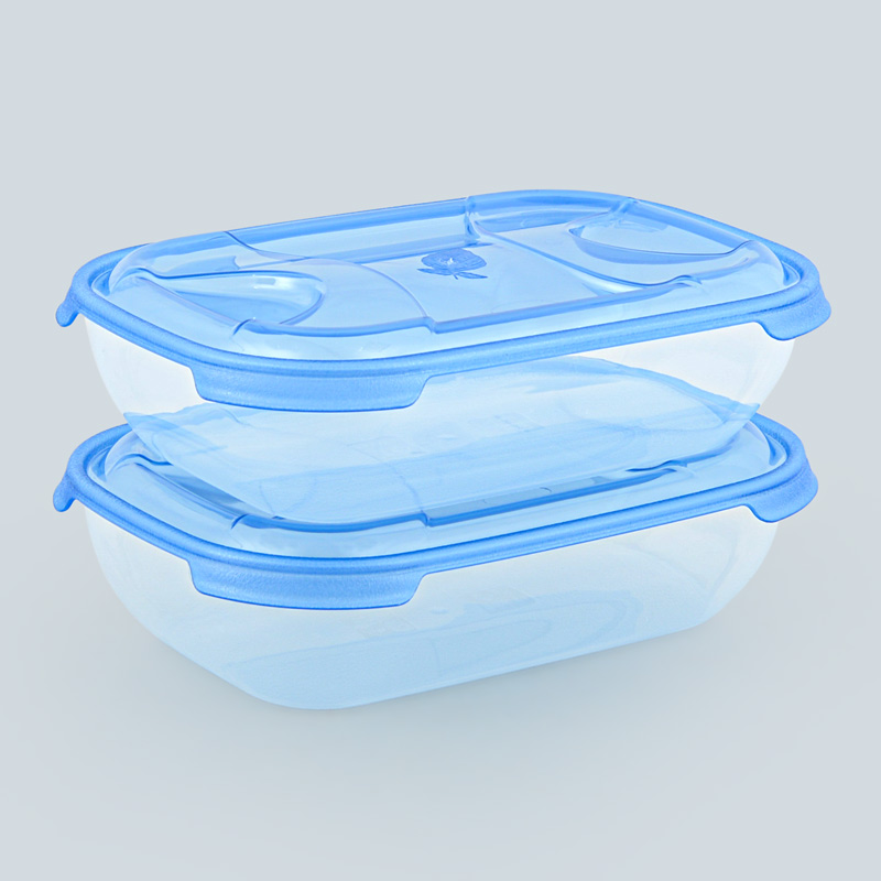 Lot de 2 boîtes alimentaires 