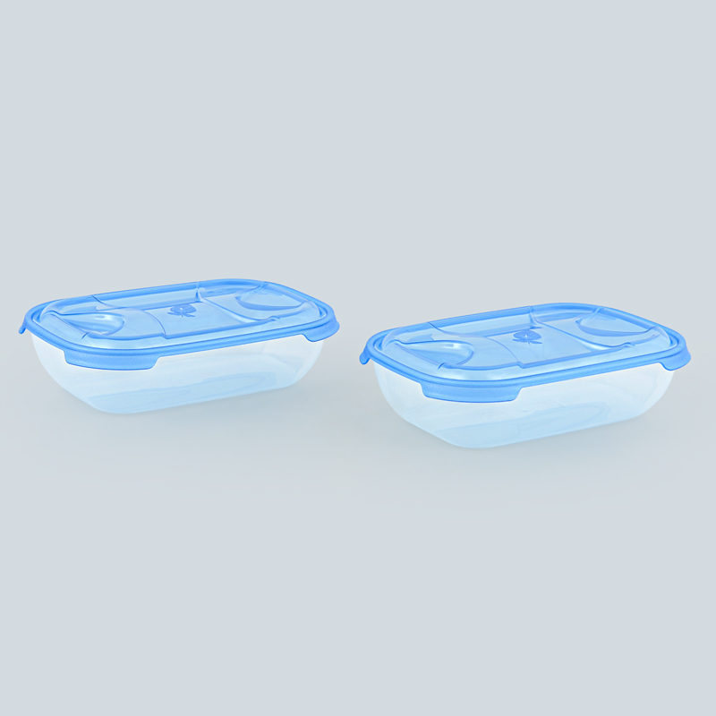 Lot de 2 boîtes alimentaires 