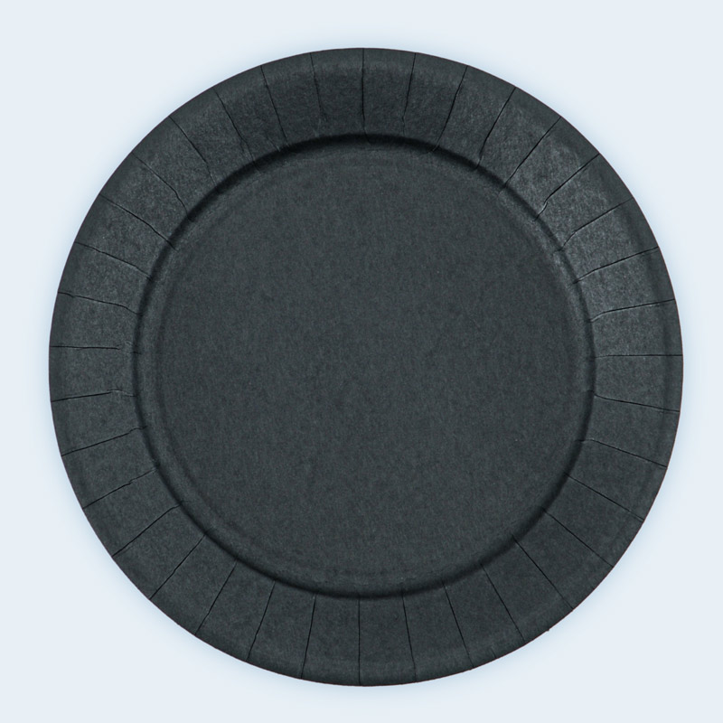Lot de 10 assiettes en carton 