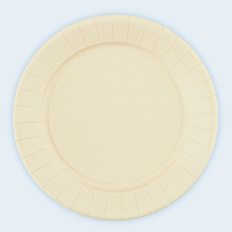 Lot de 10 assiettes en carton 