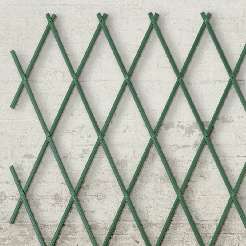 Treillis vert 