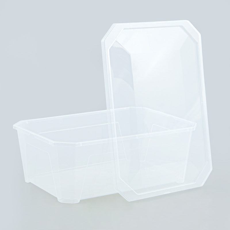 4 boîtes de rangement transparentes 'Fly Box'