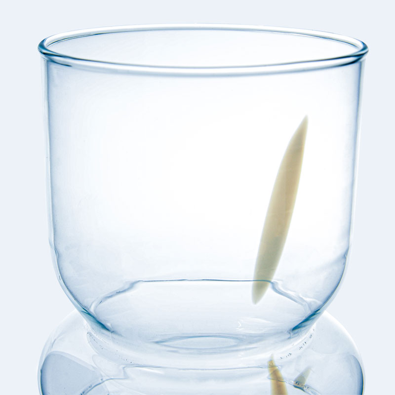 Vase 'Fanny' blanc mat