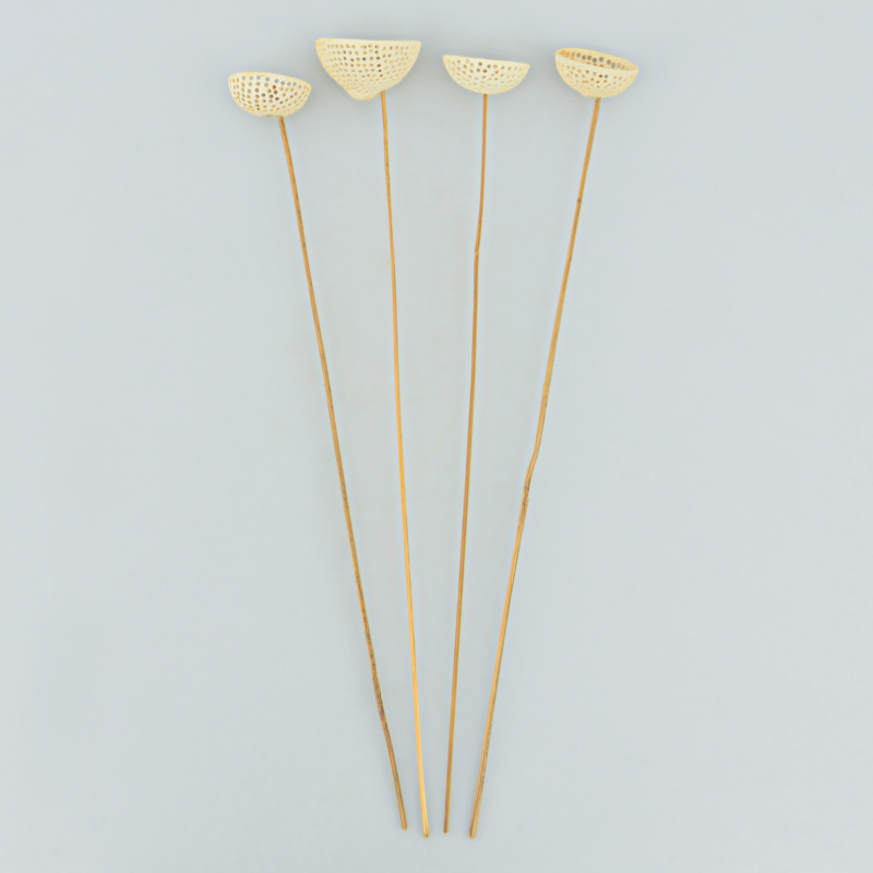 Lot de 4 tiges 'Mala'