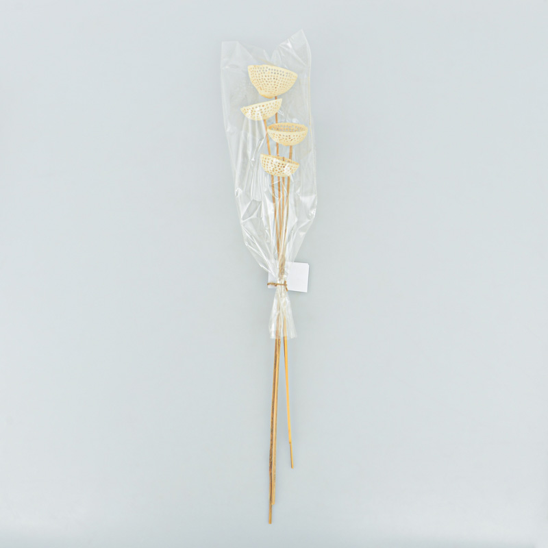 Lot de 4 tiges 'Mala'