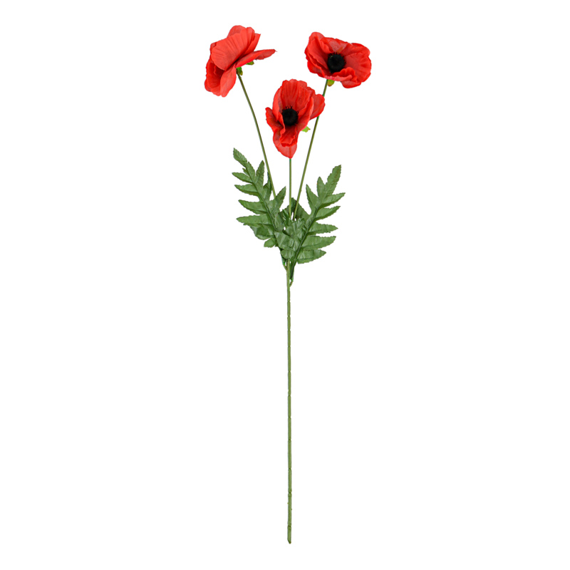 Coquelicot rouge 