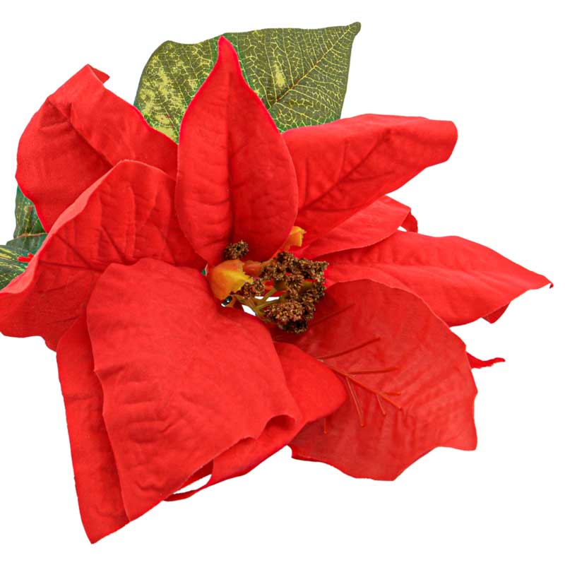 Tige de poinsettia velours rouge