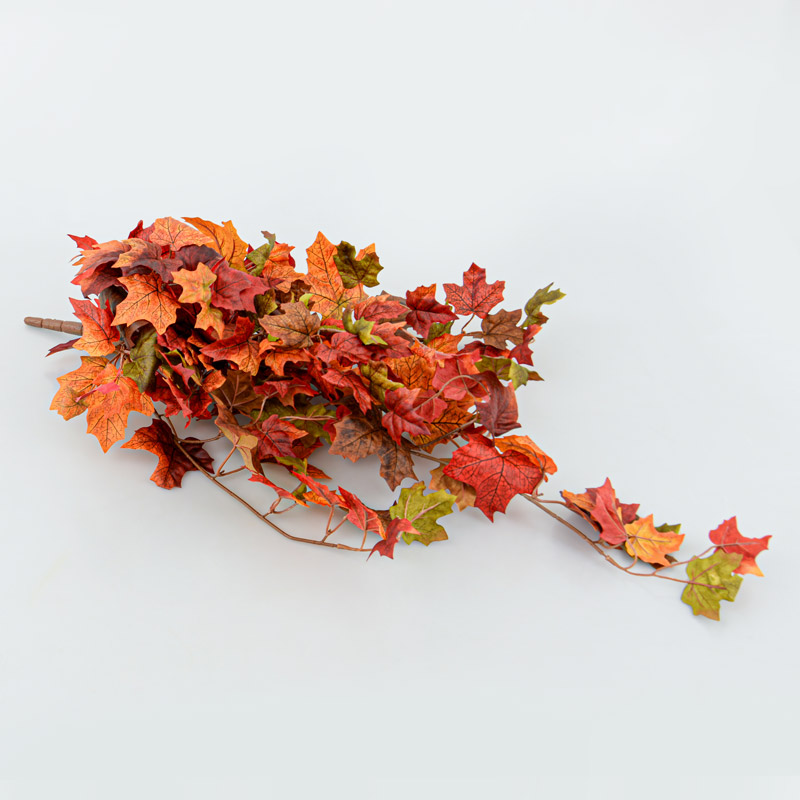 Feuilles d'érable tombantes 'Coeur d'Automne'