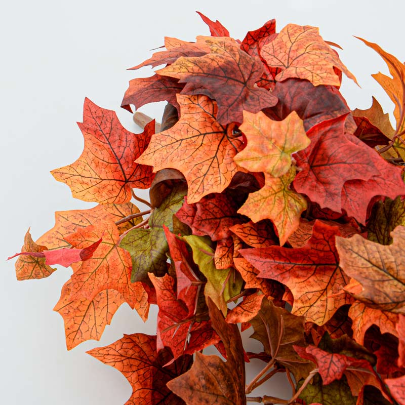 Feuilles d'érable tombantes 'Coeur d'Automne'