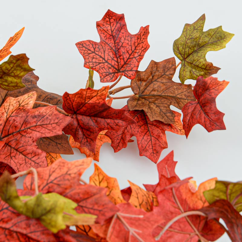 Feuilles d'érable tombantes 'Coeur d'Automne'