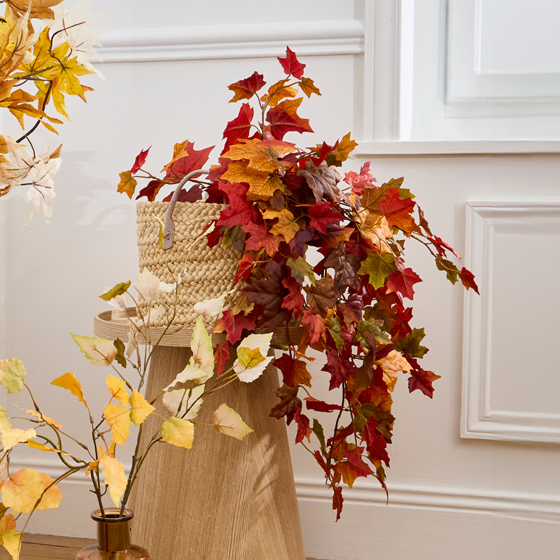 Feuilles d'érable tombantes 'Coeur d'Automne'