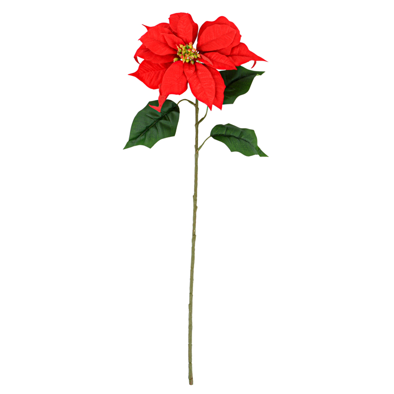 Tige 'Poinsettia' rouge