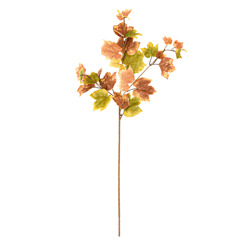 Tige de feuilles d'érable 'Coeur d'Automne'