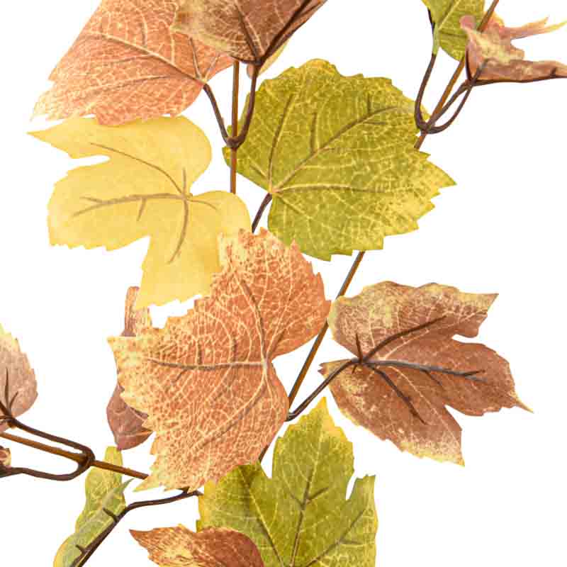 Tige de feuilles d'érable 'Coeur d'Automne'