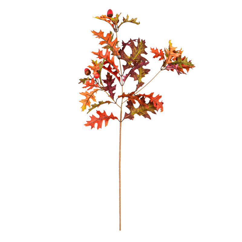 Tige de feuilles de chêne 'Coeur d'Automne'