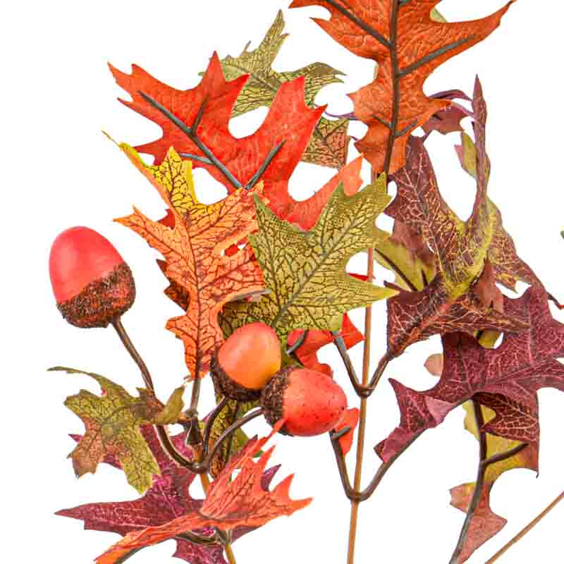 Tige de feuilles de chêne 'Coeur d'Automne'