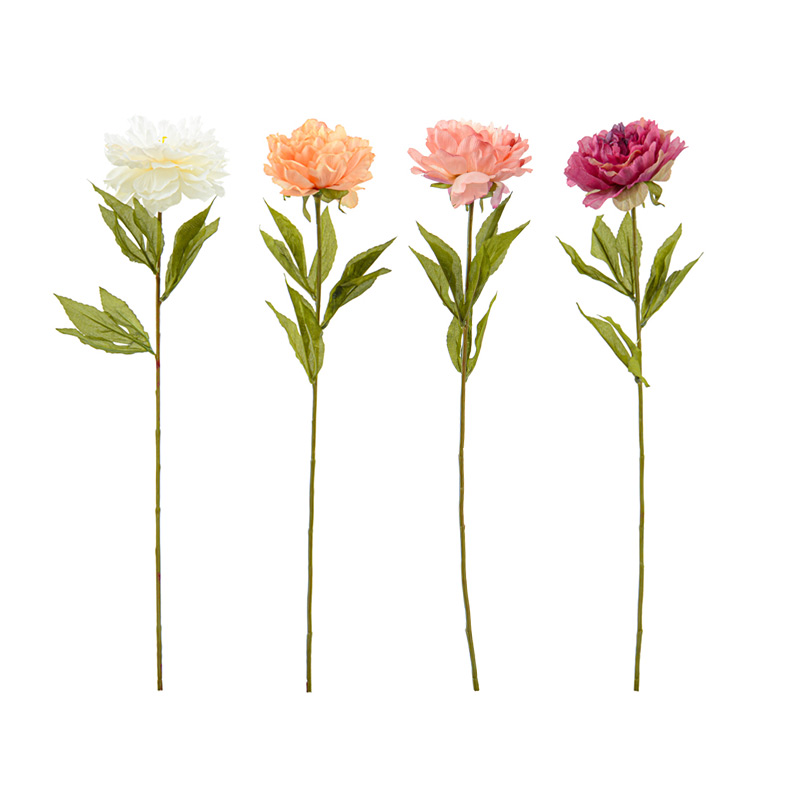 Bouquet de pivoines