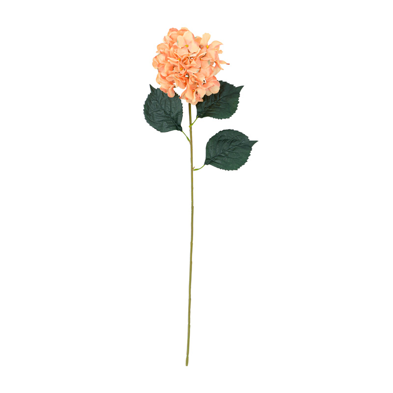 Bouquet d'hortensias