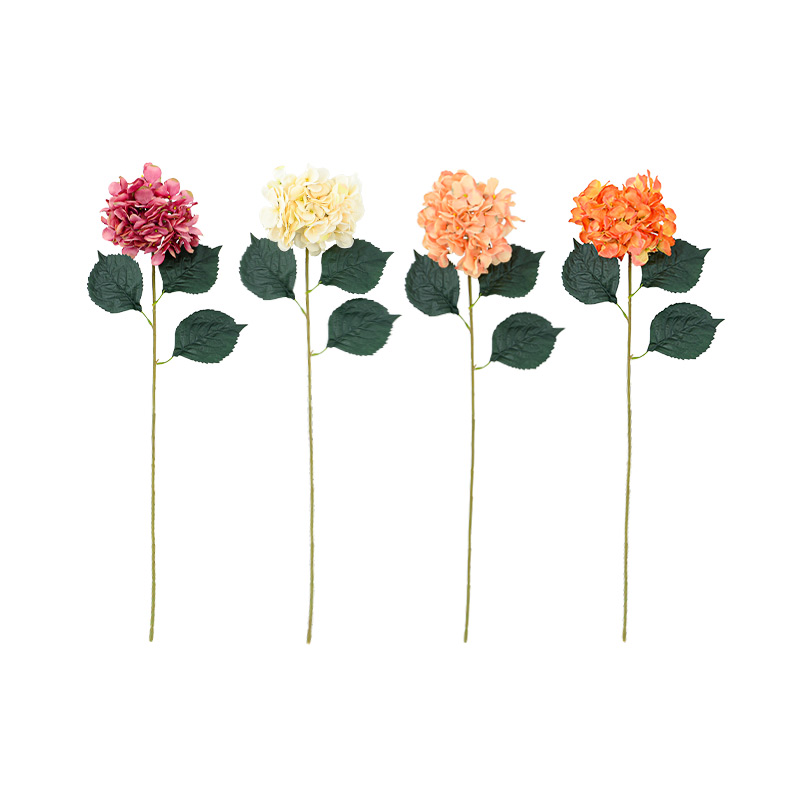 Bouquet d'hortensias