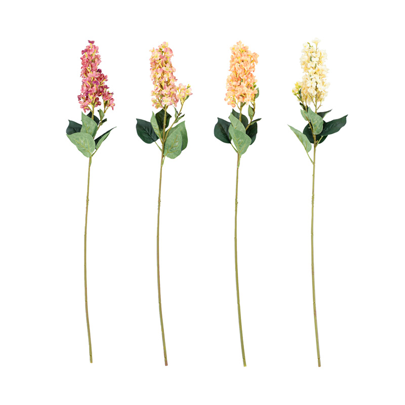 Bouquet de lilas