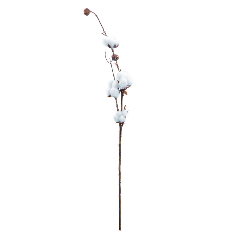 Tige de fleurs de coton 