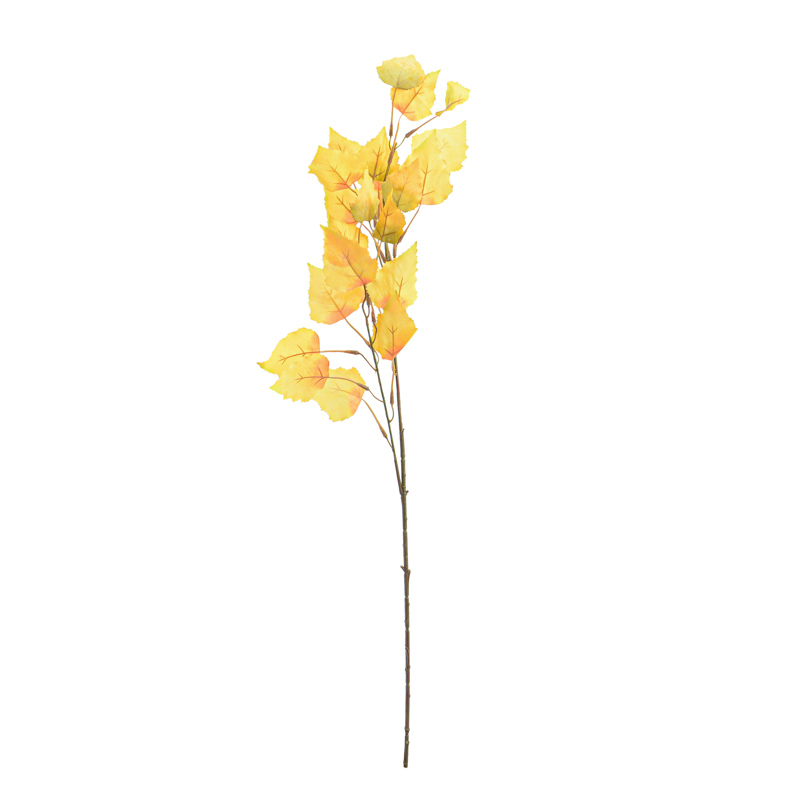 Tige de feuilles de bouleau 'Coeur d'Automne'