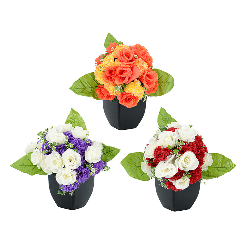 Potée de rose et chrysanthème