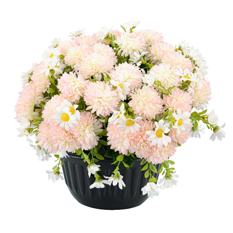 Potée de chrysanthèmes et marguerites