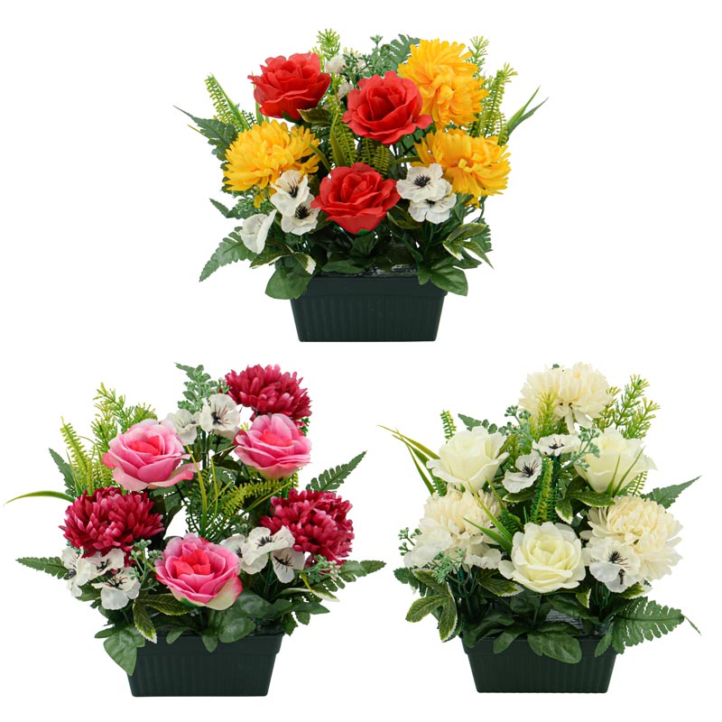 Petite jardinière d'orchidées et roses 