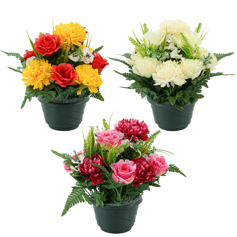 Coupe d'orchidées roses et fougères
