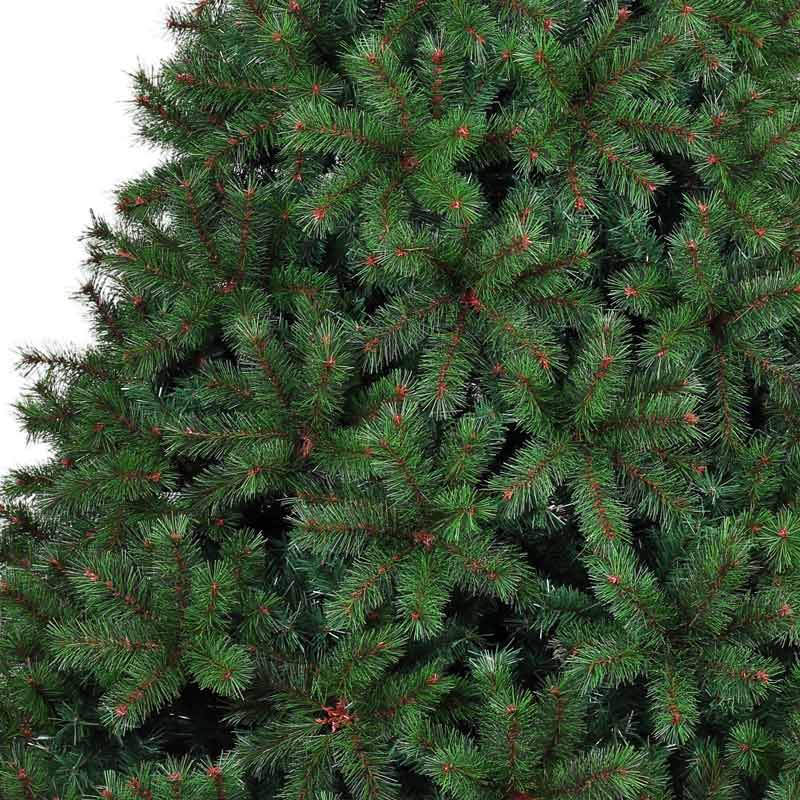 Sapin de Noël 'Edenwood' 1918 branches