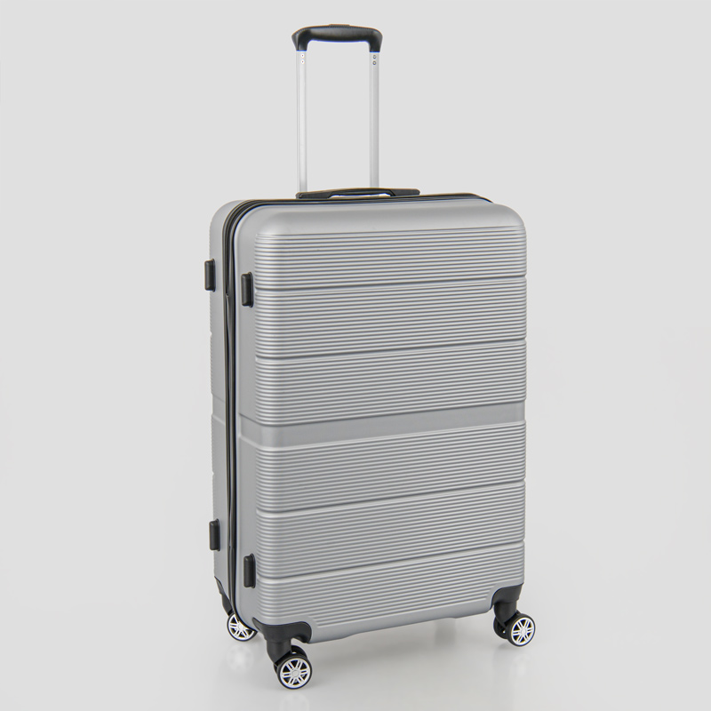 Valise 'Linea' grise 100L
